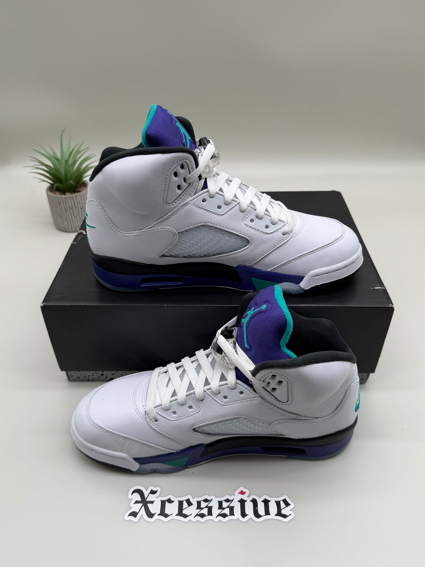 Jordan 5 Grape