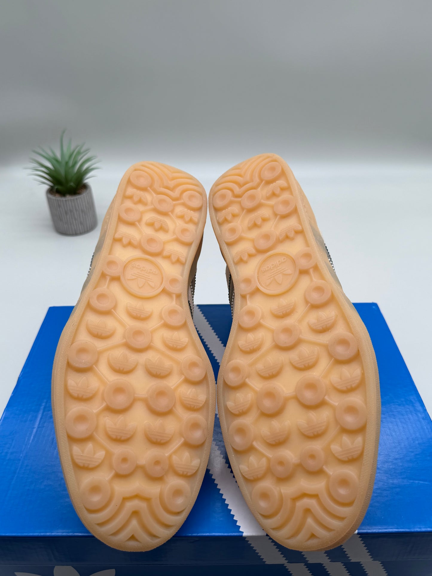 Adidas Gazelle Indoor Clam Chowder