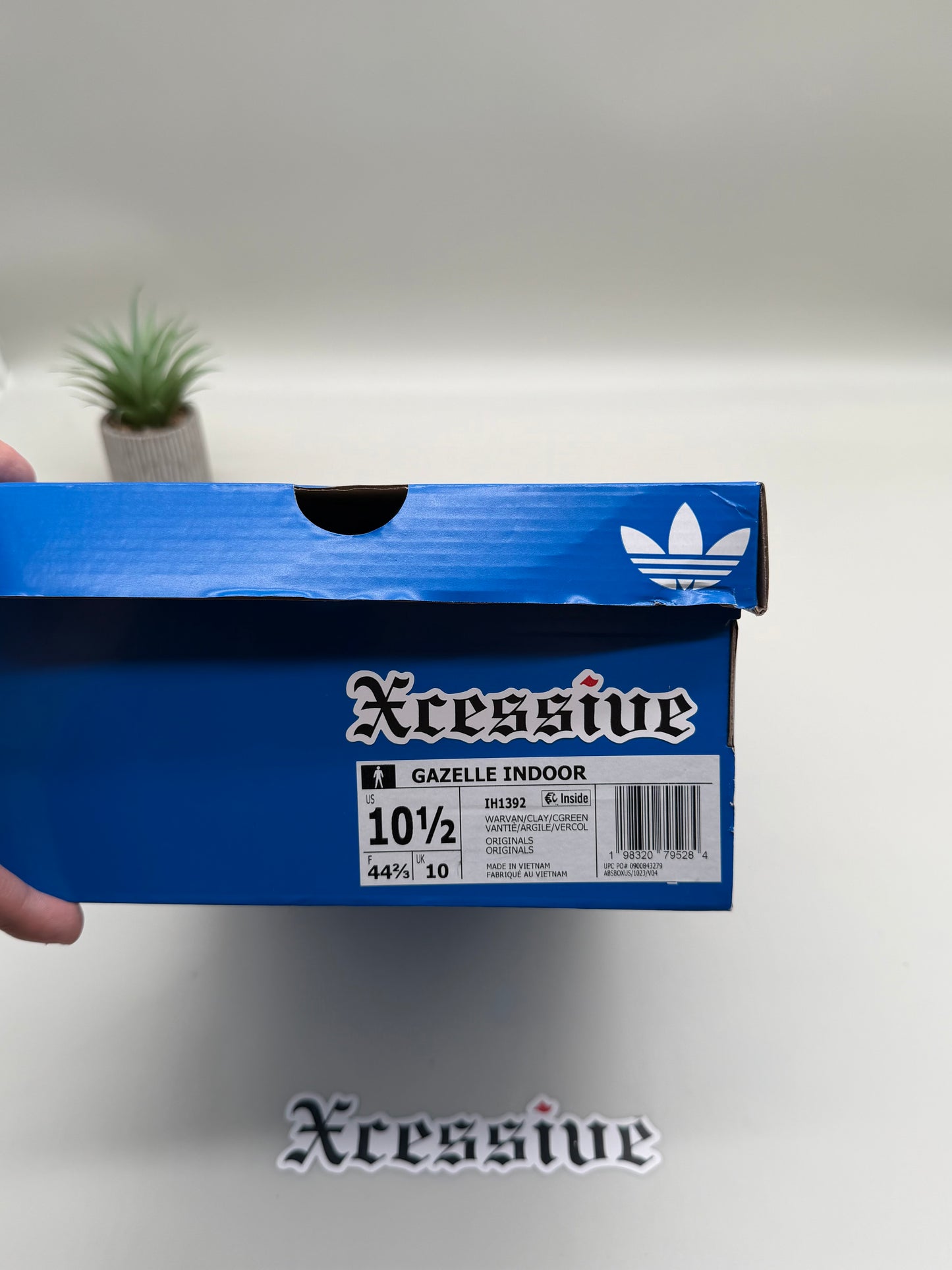 Adidas Gazelle Indoor Clam Chowder