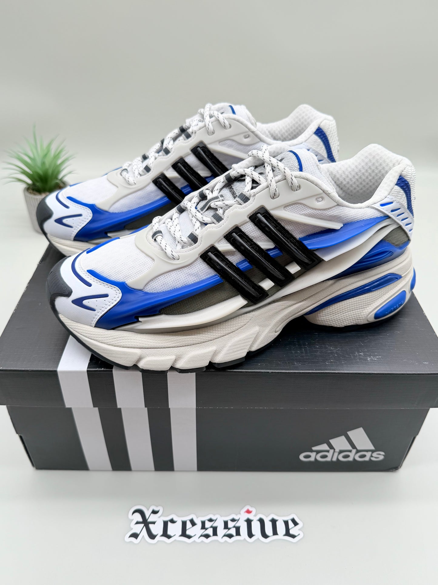 Adidas Adistar Jellyfish Pharrell Williams Royal Blue