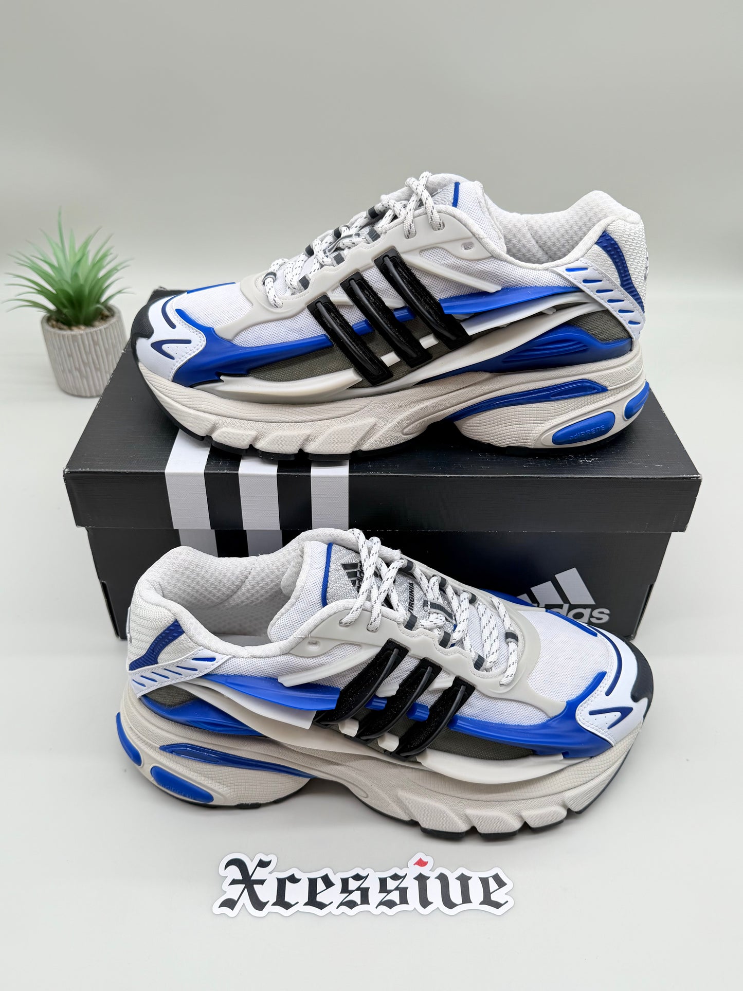 Adidas Adistar Jellyfish Pharrell Williams Royal Blue