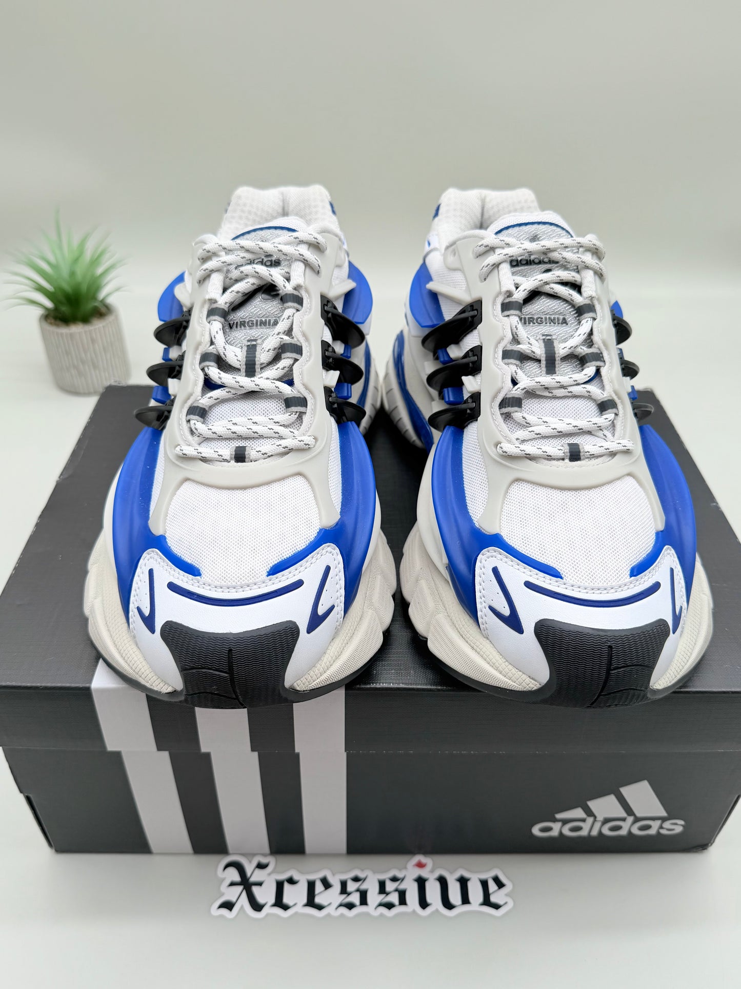Adidas Adistar Jellyfish Pharrell Williams Royal Blue