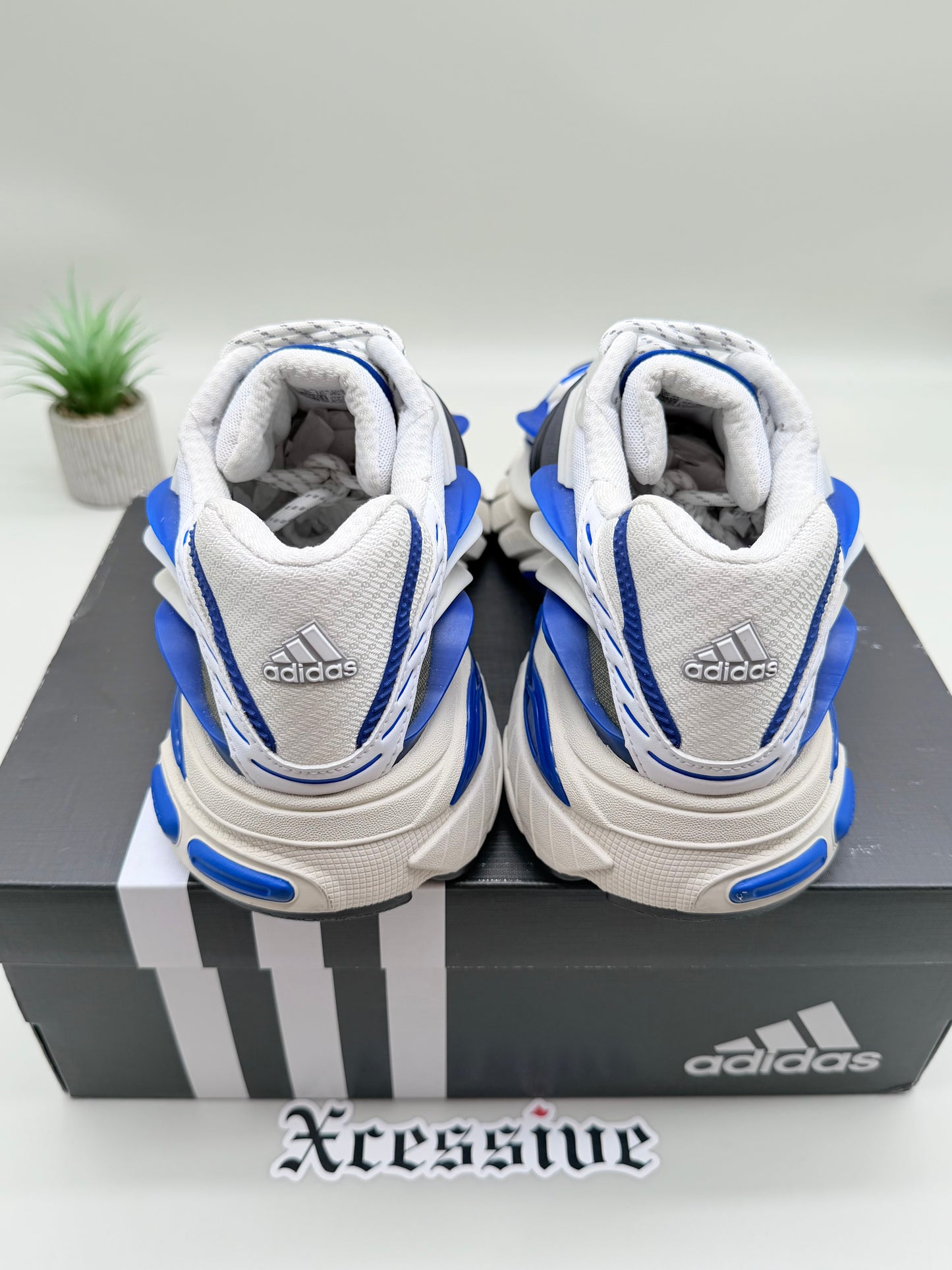 Adidas Adistar Jellyfish Pharrell Williams Royal Blue