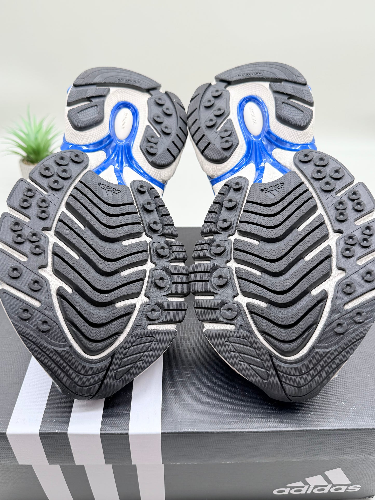 Adidas Adistar Jellyfish Pharrell Williams Royal Blue
