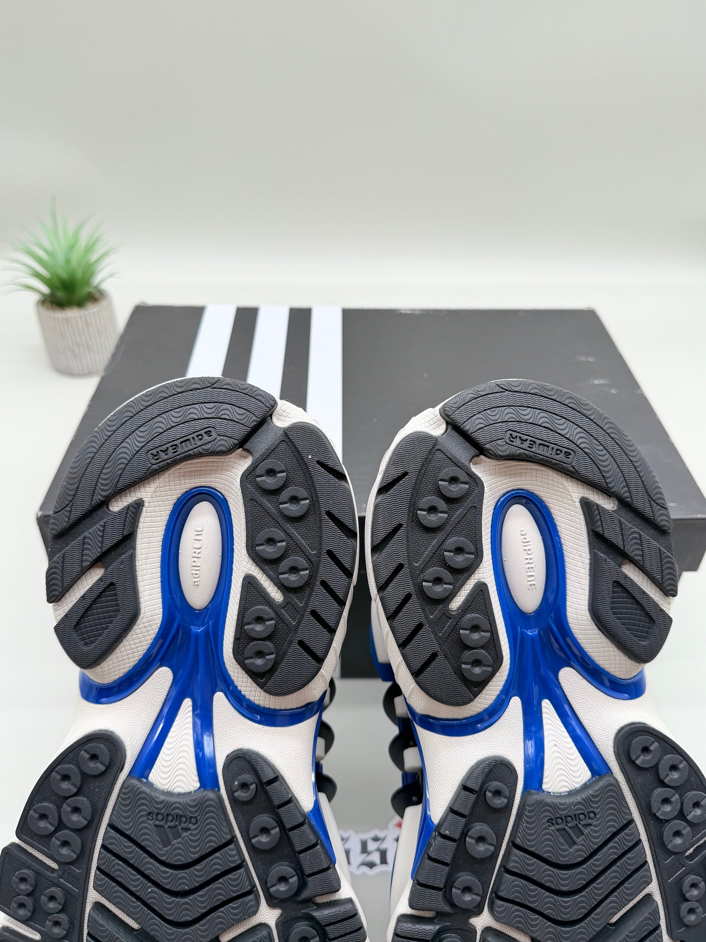 Adidas Adistar Jellyfish Pharrell Williams Royal Blue